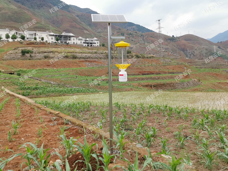 TPSC3-1太陽(yáng)能殺蟲(chóng)燈