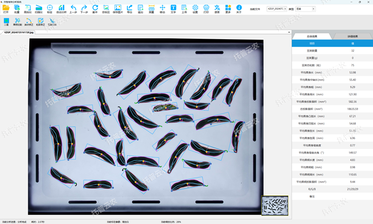 豆莢表型測定 總結果