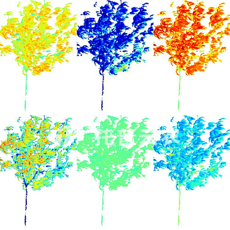 果樹解析圖(水?。?jpg