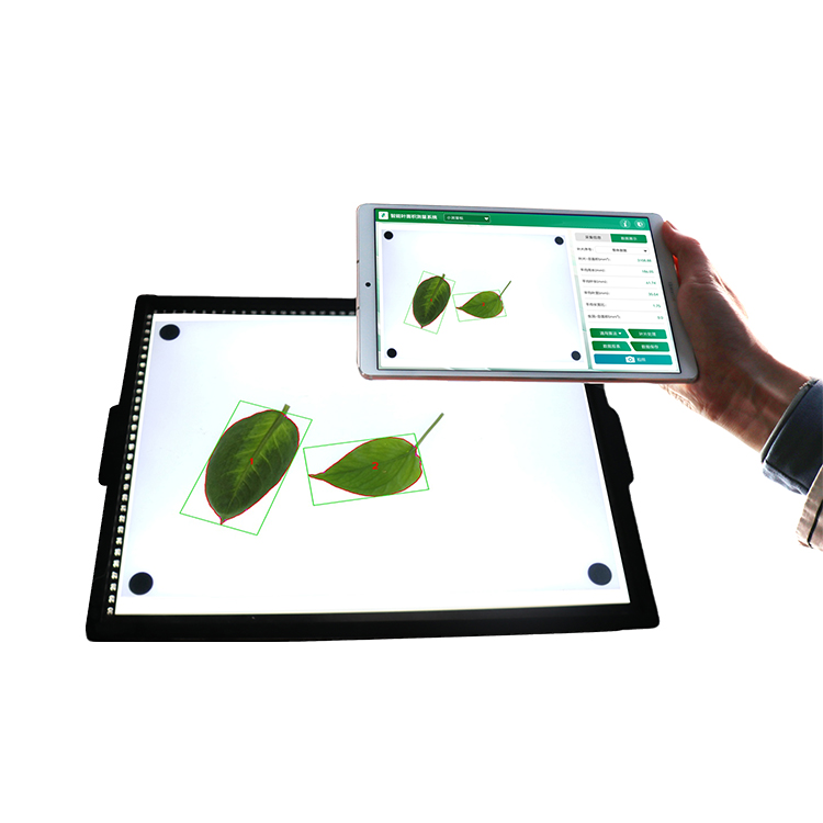 智能葉面積測(cè)量系統(tǒng) YMJ-CHA3